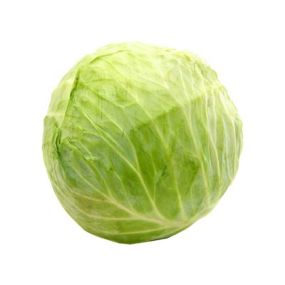 Cabbage