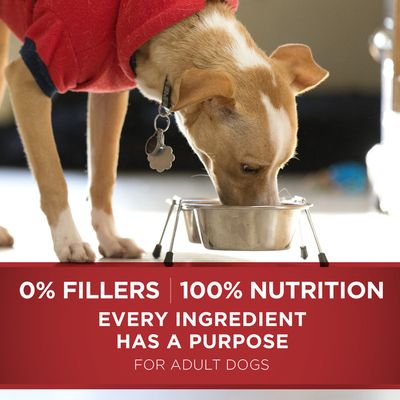 Purina ONE Natural Dry Dog Food, SmartBlend Small Bites Beef & Rice Formula