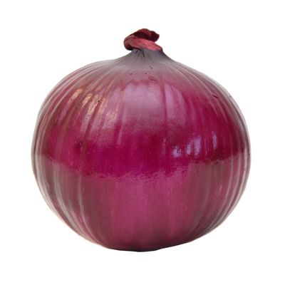 red onion bags