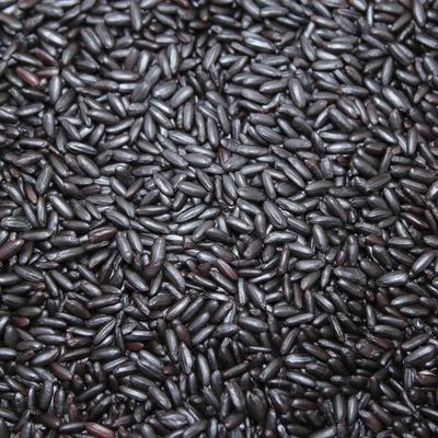Black Rice