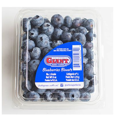 California Giant Blueberries