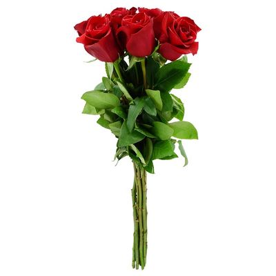 Debi Lilly Red Roses