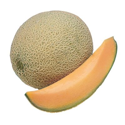 Cantaloupe Melon