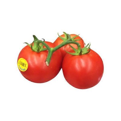 Organic Tomatoes on the Vine