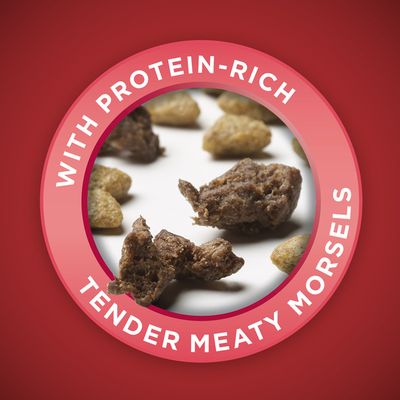Purina ONE Natural Dry Dog Food, SmartBlend Small Bites Beef & Rice Formula
