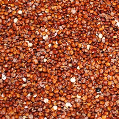 Organic Red Quinoa