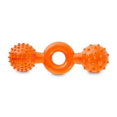 Toss & Tug Dog Toy