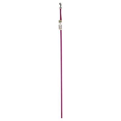 Alliance Products Leash, 6 Feet