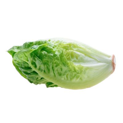 Baby Romaine Lettuce