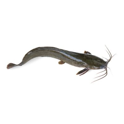 SeaFood Whole Catfish Processed