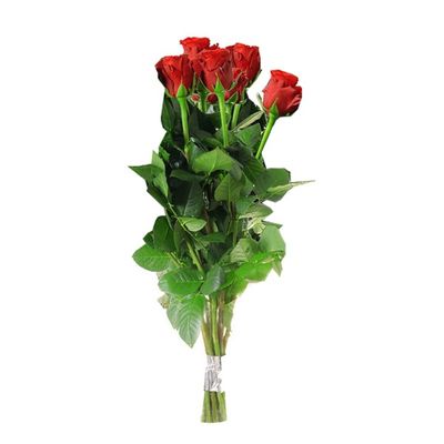 Rose Plants With Vase
