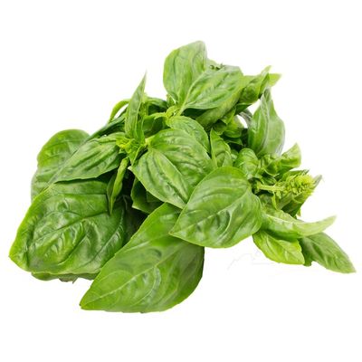 Agroaroma Potted Basil