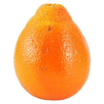 Organic Minneola Tangelo Bag
