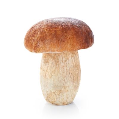 Lowell Foods Dried Porcini Extra White Mushroom Caps String
