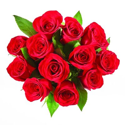 Fresh Roses