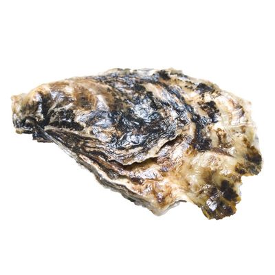 Breaded Oysters