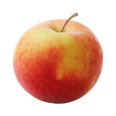 Winesap Apple