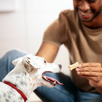 Milk-Bone Dog Treat