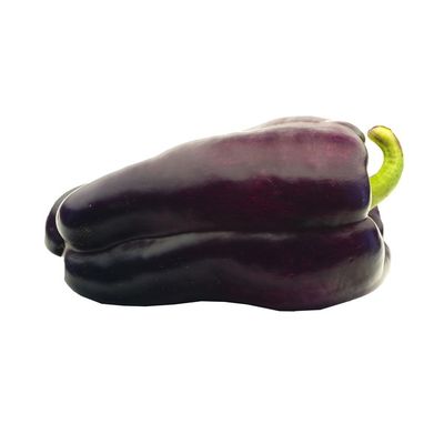 Organic Purple Bell Pepper
