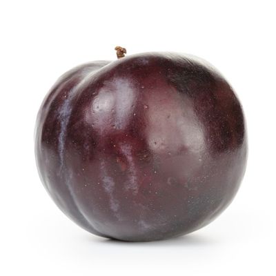 Black Pluot