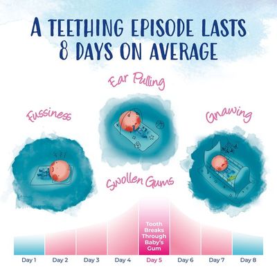 Boiron Camilia, Homeopathic Medicine for Teething Relief