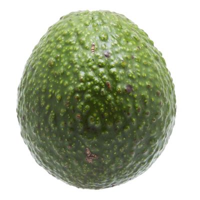 Organic Reed Avocado