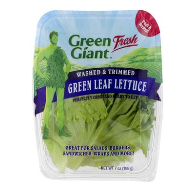 Green Giant Fresh Green Leaf Lettuce