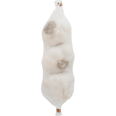 Spice World Garlic, Fresh