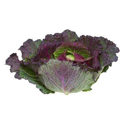 Organic Red Savoy Cabbage