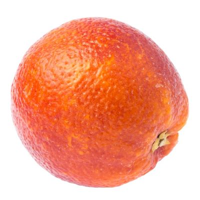 Maltaise Orange