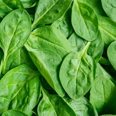 Spinach Bag