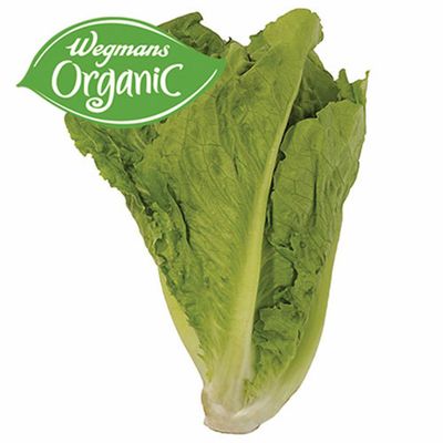 Romaine Lettuce