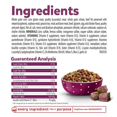 Purina Puppy Chow High Protein Dry Puppy Food, Tender & Crunchy With Real Beef