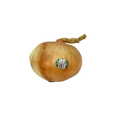 Vidalia Onion