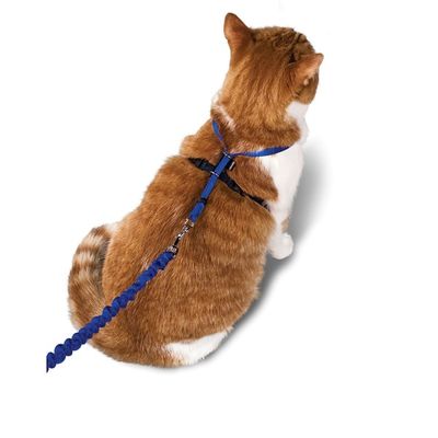 PetSafe Large Gentle Leader Come With Me Kitty Harness & Bungee Leash