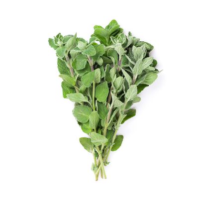 Organic Oregano