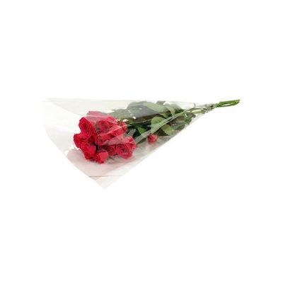 1 Consumer Spry Rose Stem