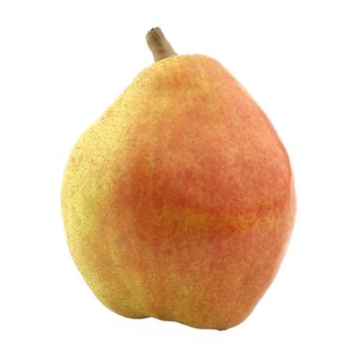 Organic Comice Pear