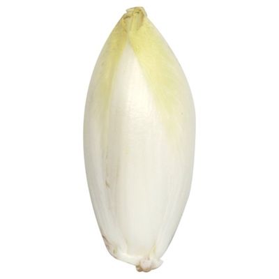Belgian Endive