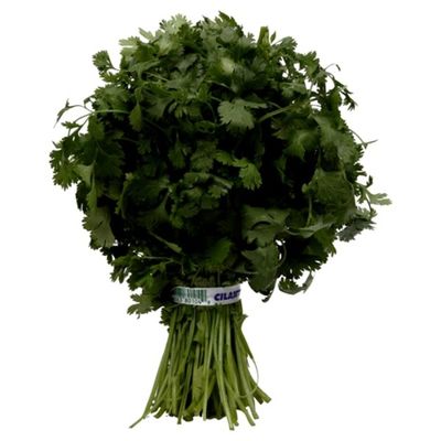 Cilantro