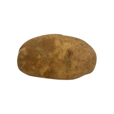 Russet Potato