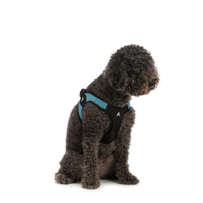 Gooby Teal Small Ina Easy Fit Padded Step In Dog Harness