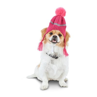 Good2 Go Small or Medium Pink Knit Hat for Pets