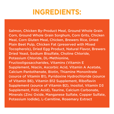 IAMS Healthy Adult with Salmon Premium Cat Food