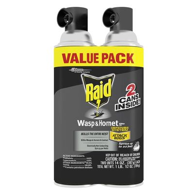 Raid Wasp Hornet Killer 33 28 Oz Delivery Or Pickup Near Me Instacart