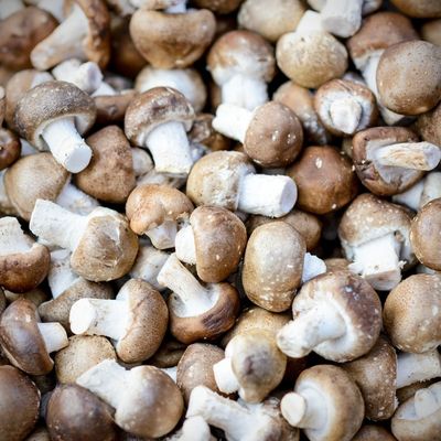 Baby Bella Mushrooms, Package