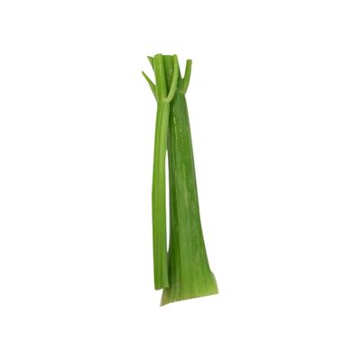 Celery Stalk