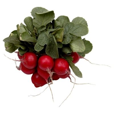 Radish Bunch