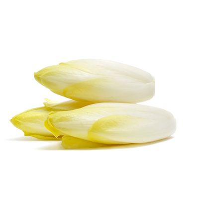 Belgian Endive