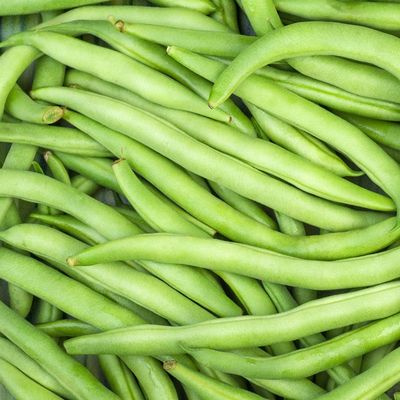 GMO Free Clipped Heirloom Green Beans